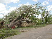 Tree fell on this house and car on the corner of Draper and Brown ~ 516 kb